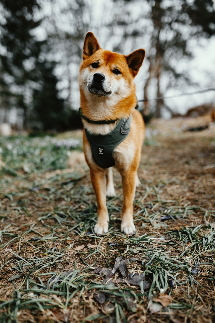  , -, 