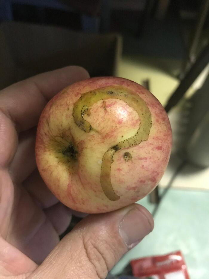     , , ,  , , 