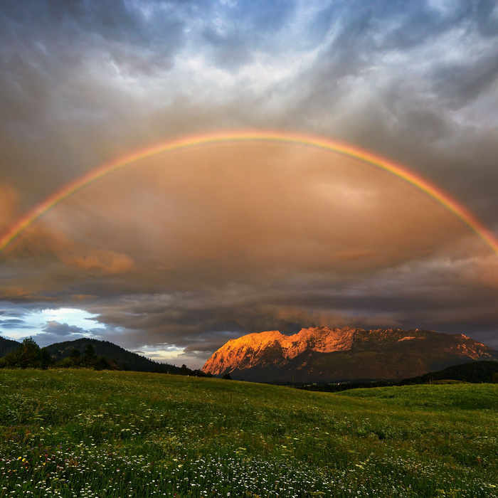 Rainbow , 