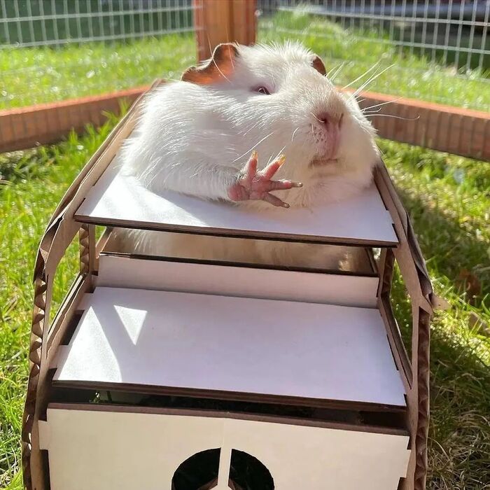 ��������! ������� ������, ������� ��������, ������, �������� ��������