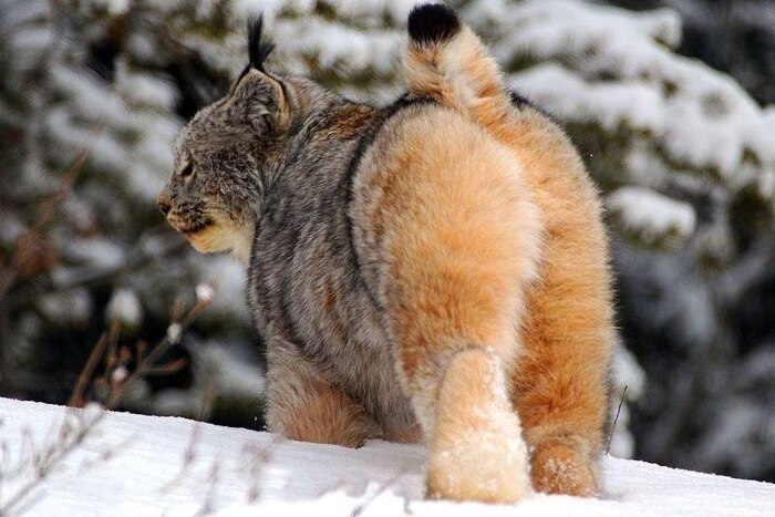 ���! ���! ��� ��� ����� ����!