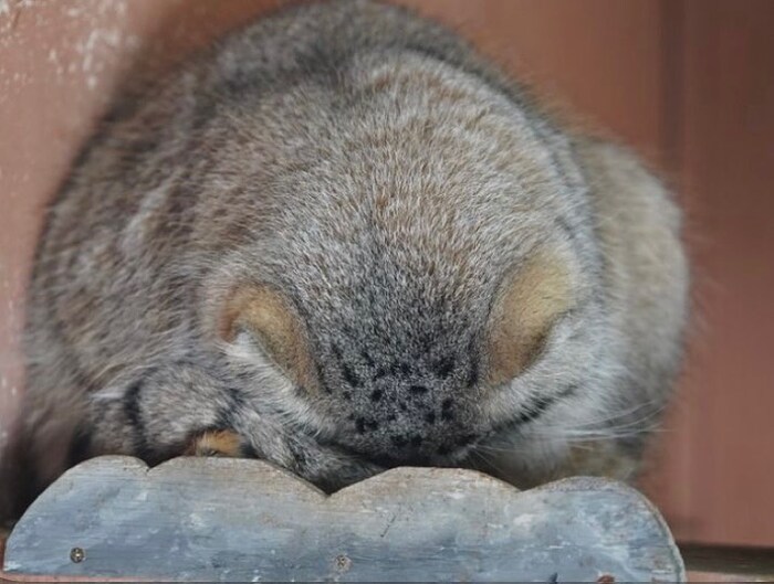 Устал от всего