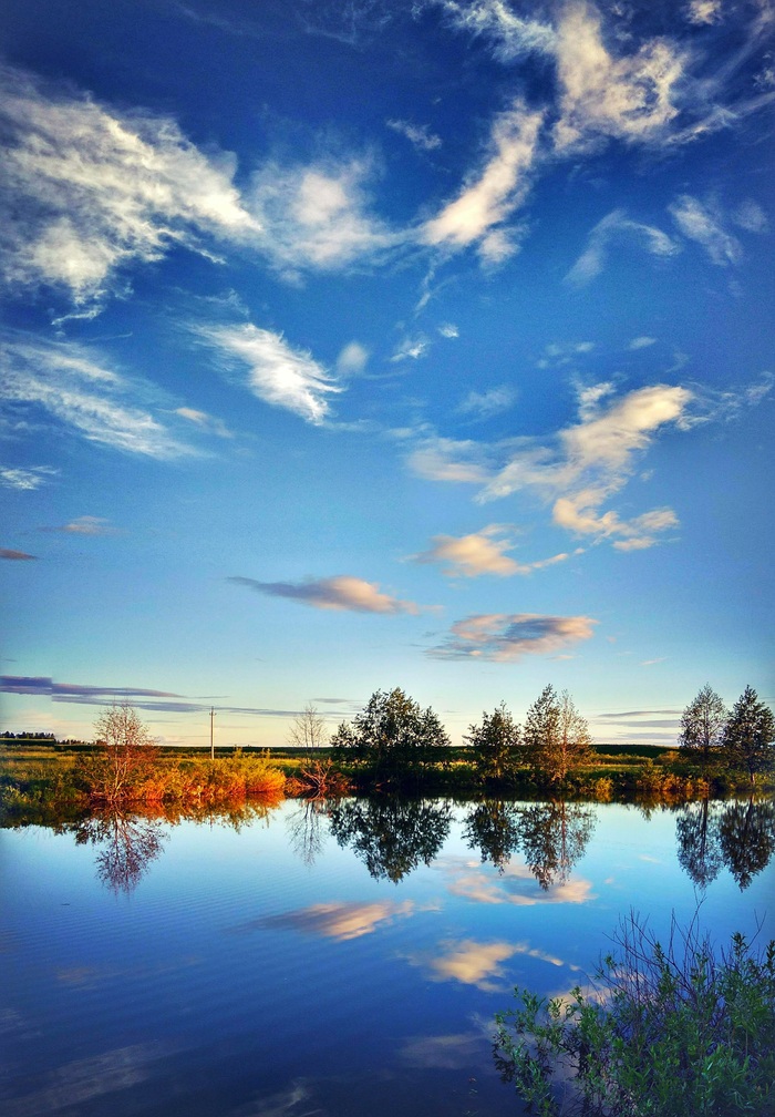 Мир и отражение