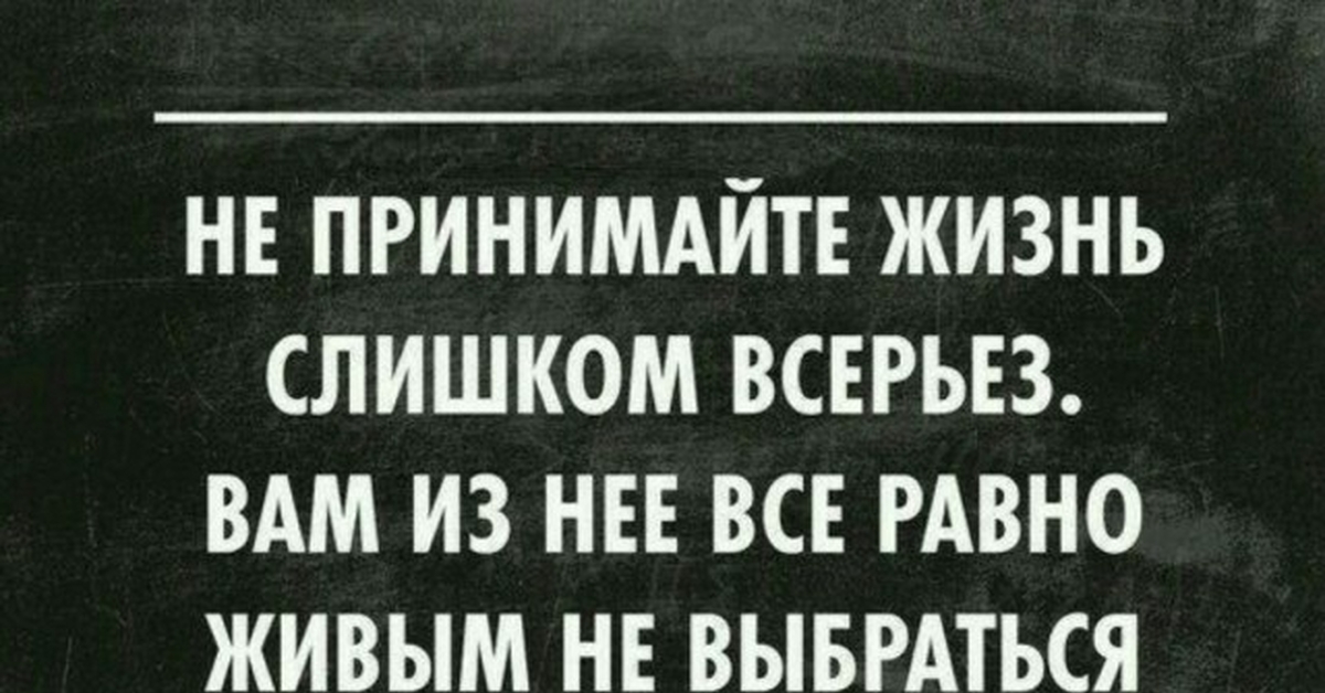 Не относитесь к жизни слишком серьезно. Кот вылезает из сашины. Живой вылезть. Котенок вылез из унитаза. Суперпозиция мем.