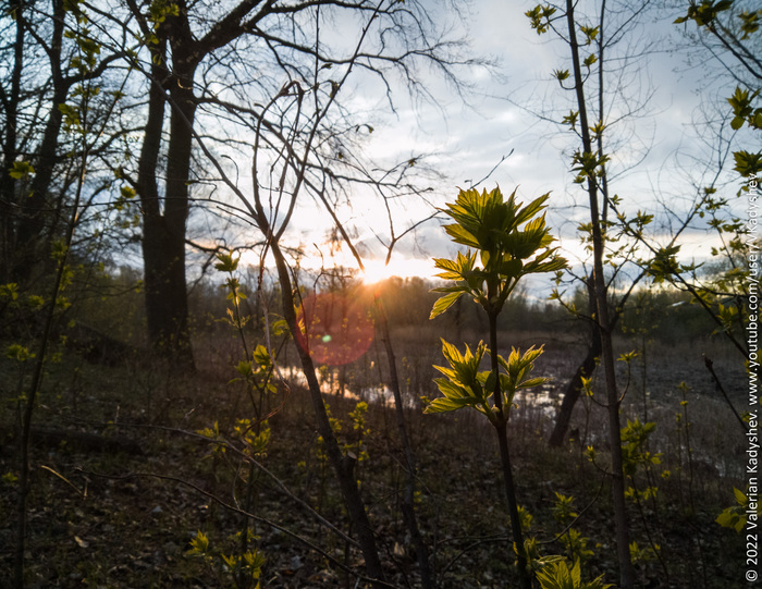 Весна прекрасна!