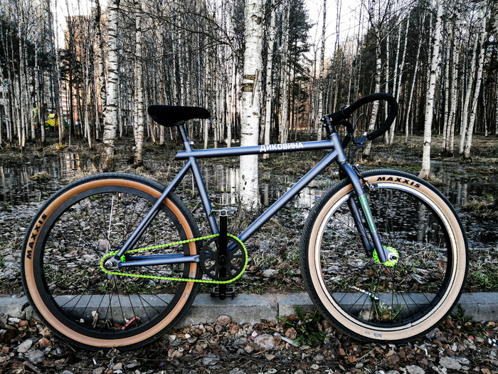 Диковина, сезон открыт :)