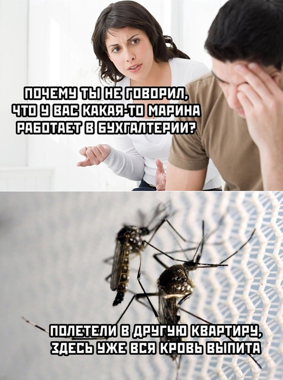 ����� �������� - ������ �������