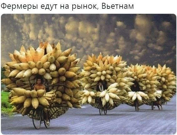 Да что ты знаешь о байкпакинге?