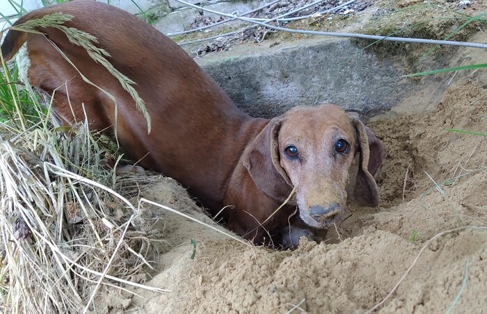 Не растерялась