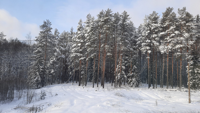 Пос жарковский тверской области фото