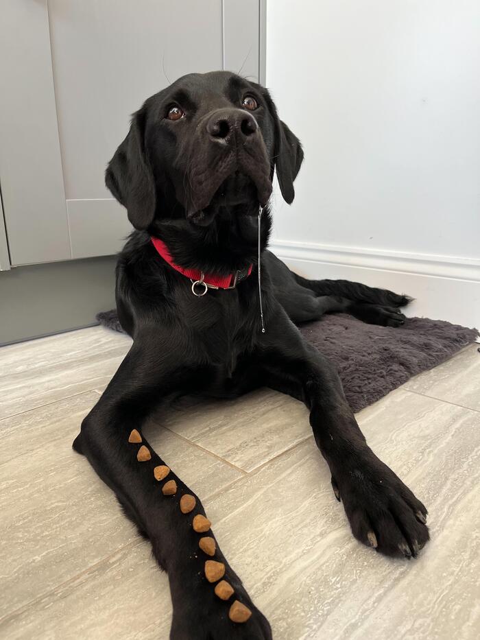 � �� �������� �� ������� ��������, ������, �����, �����, ��������