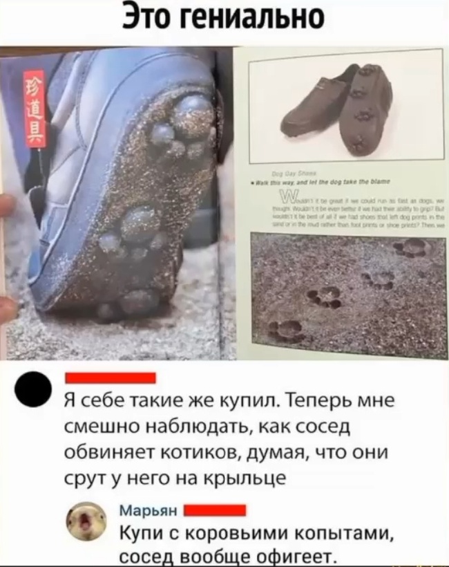 Шуточки то хоть норм?
