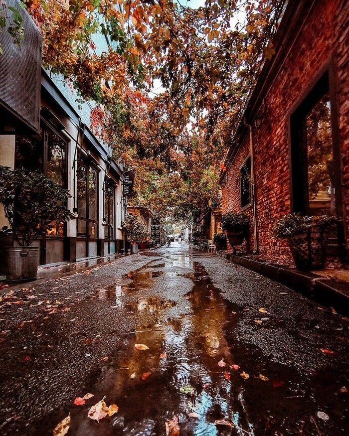   , , , , 