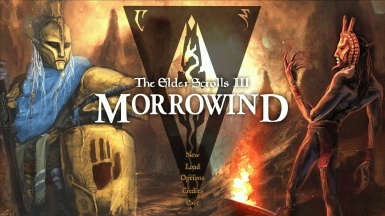 Релиз! Morrowind на Android огромная сборка для 2г оперативки+ Ссылки на релизы для 4г оперативки и 6+ г The Elder Scrolls, The Elder Scrolls III: Morrowind, Релиз, Моды, Android, Игры, Сборка, Длиннопост, RPG, Ролевые игры