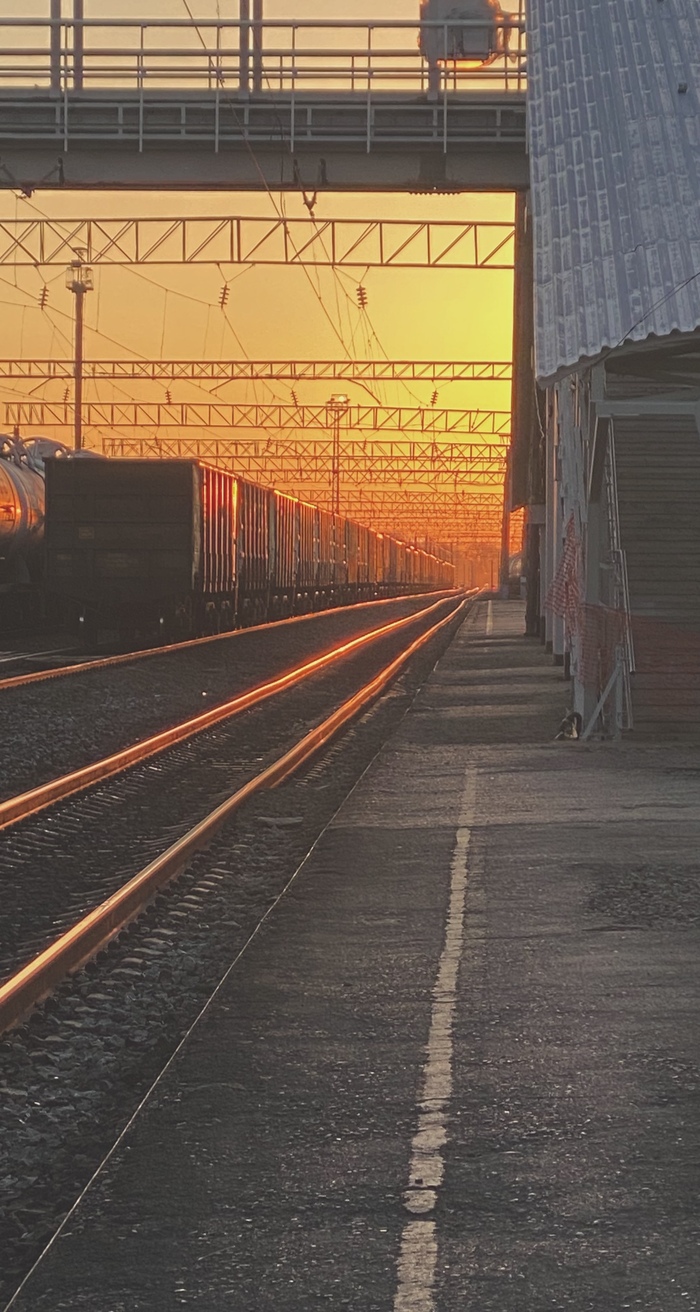 � �������� ��������� ������