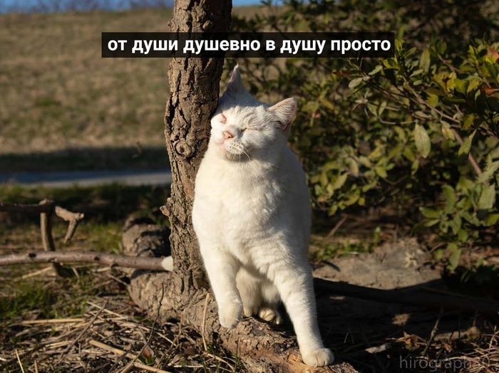 ������� [ ������ ] ���, ���������, �����, ���������, ����������, �������� � �������