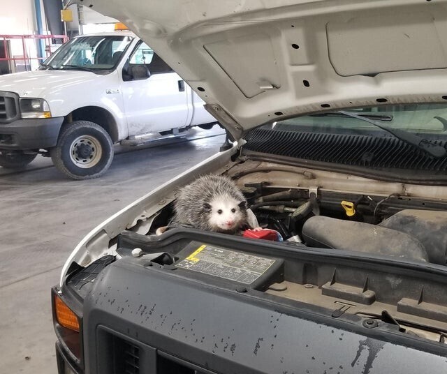 Масло на смену, да и вообще движок барахлит