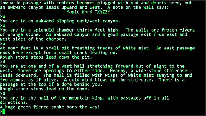 #Colossal Cave Adventure (1975)