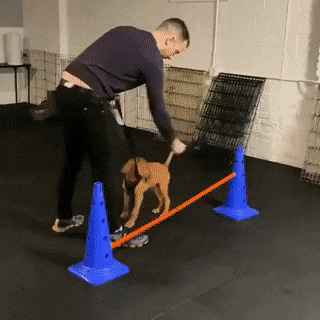      , ,  , 