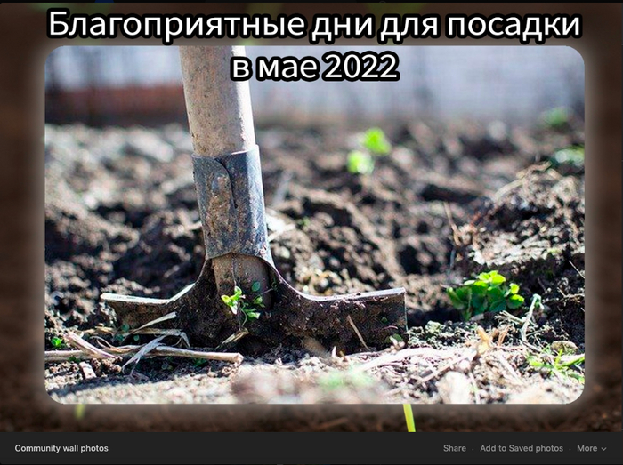 Календарь посадок в мае