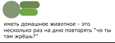 � "��� �� ����� ���(�/�)��?" �������� ��������, ��������, ���������, ����, ���