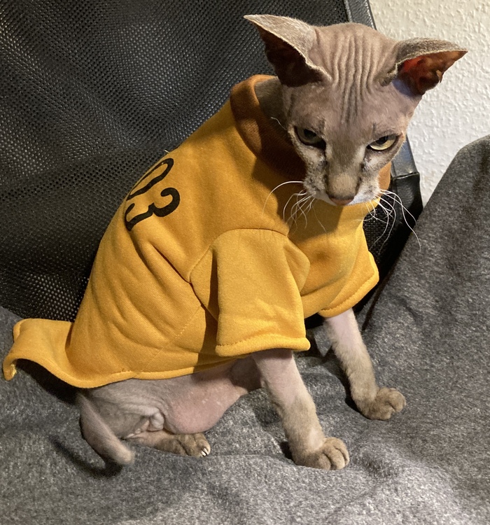 ��� �� ���� ������ �������� ���, ������, ������, ��������, ����������, ������� ������, �����, ����������