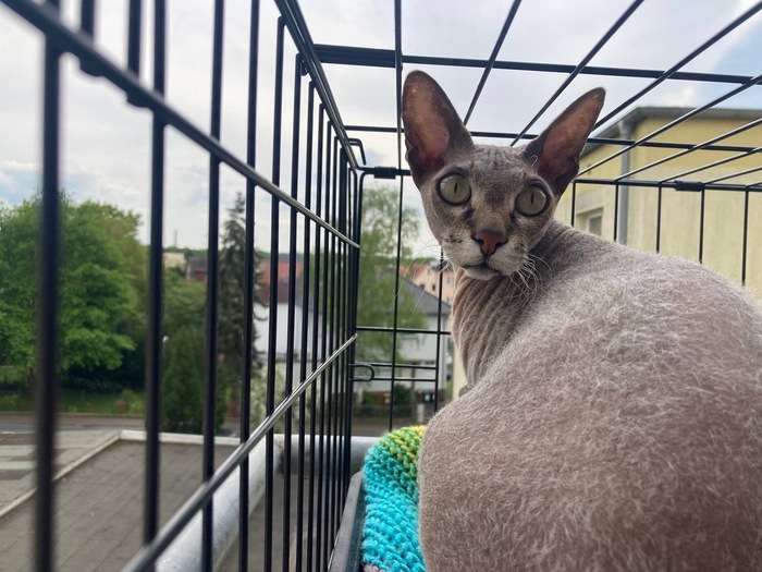 ��� �� ���� ������ �������� ���, ������, ������, ��������, ����������, ������� ������, �����, ����������