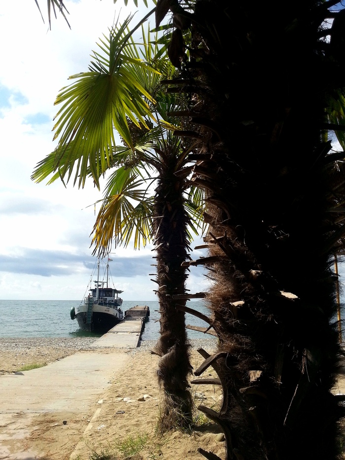 �������, ������