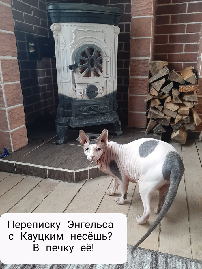 Зина! В печку её!