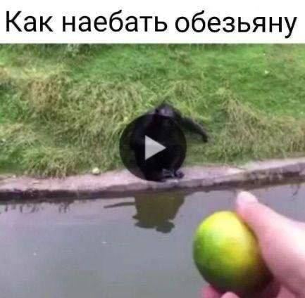 ����� ���-�� ������)