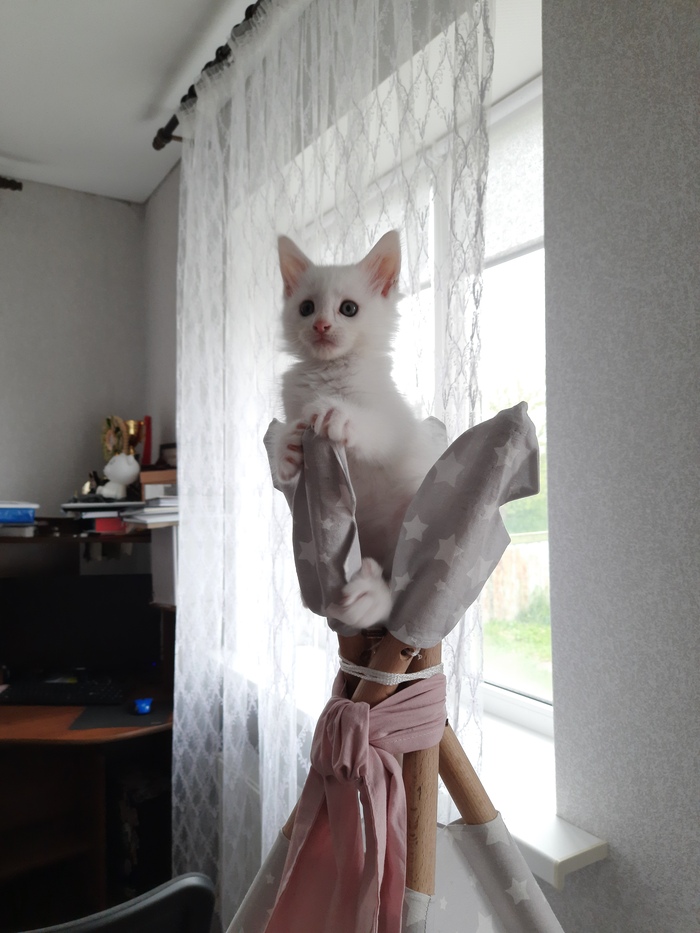 "��� �� �����! ����� � ����!"