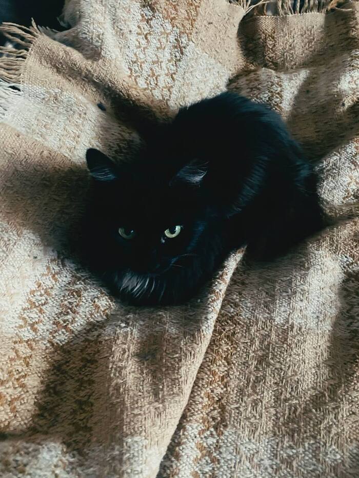   , !   , ,  , , , 