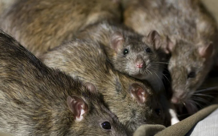 История о том, как я жила с бомжами, или "Похороните меня под поребриком" Бонус - Казнь Мат, Негатив, Бомж, Алкоголики, YouTube, Видео, Длиннопост