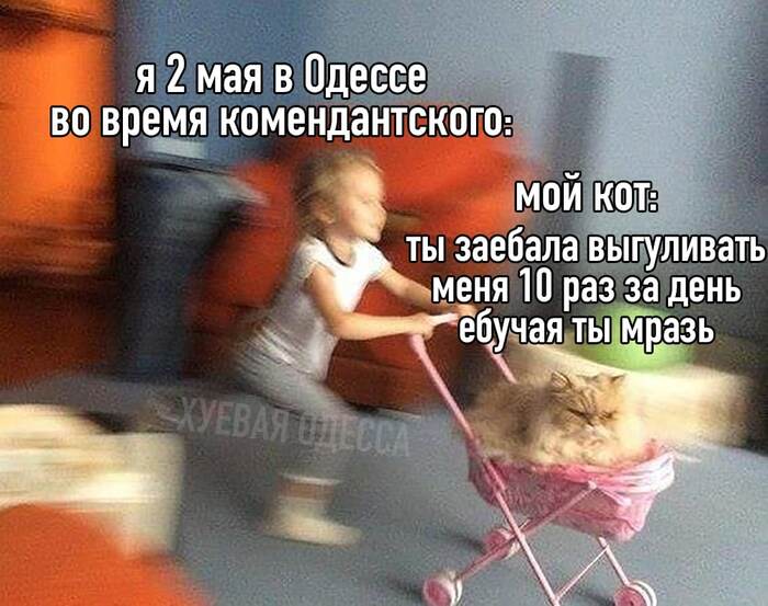    ,   , , 
