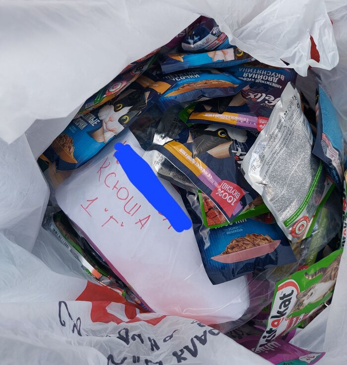 Операция "Спасение котиков ДНР" часть 3 Сила Пикабу, ДоброВспышка, Кот, Собака, Животные, Домашние животные, Пикабушники, Помощь животным, ДНР, Длиннопост