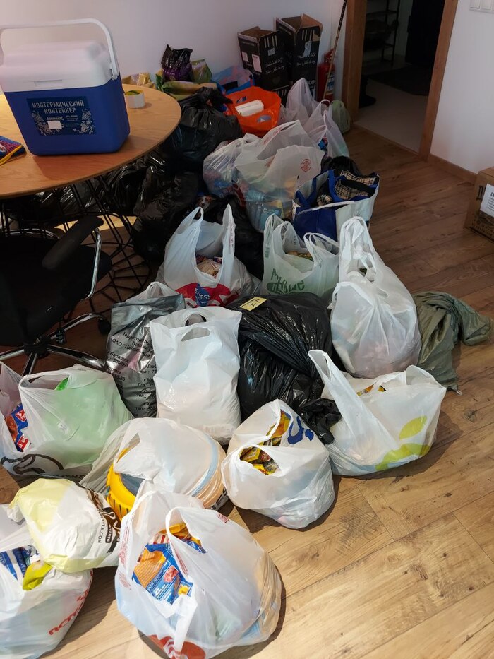 Операция "Спасение котиков ДНР" часть 3 Сила Пикабу, ДоброВспышка, Кот, Собака, Животные, Домашние животные, Пикабушники, Помощь животным, ДНР, Длиннопост