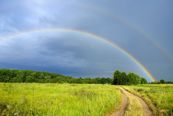 Прокремлевский информационный пузырь" 91. Избранные места из спецоперации Политика, Россия и Украина, Новости, Видео, Длиннопост