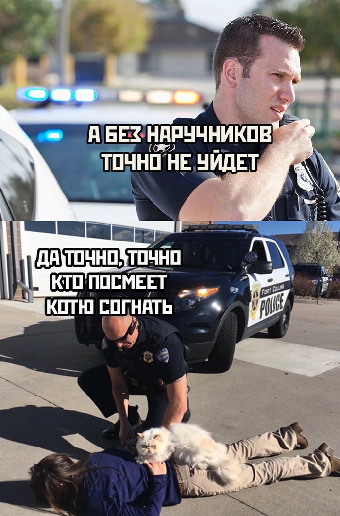 Ни капли сомнений