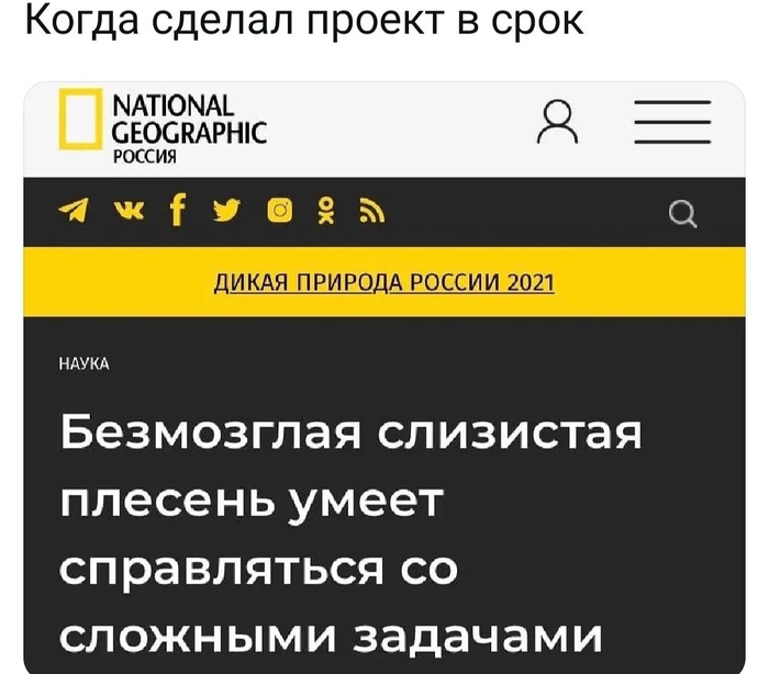 ������ ����������