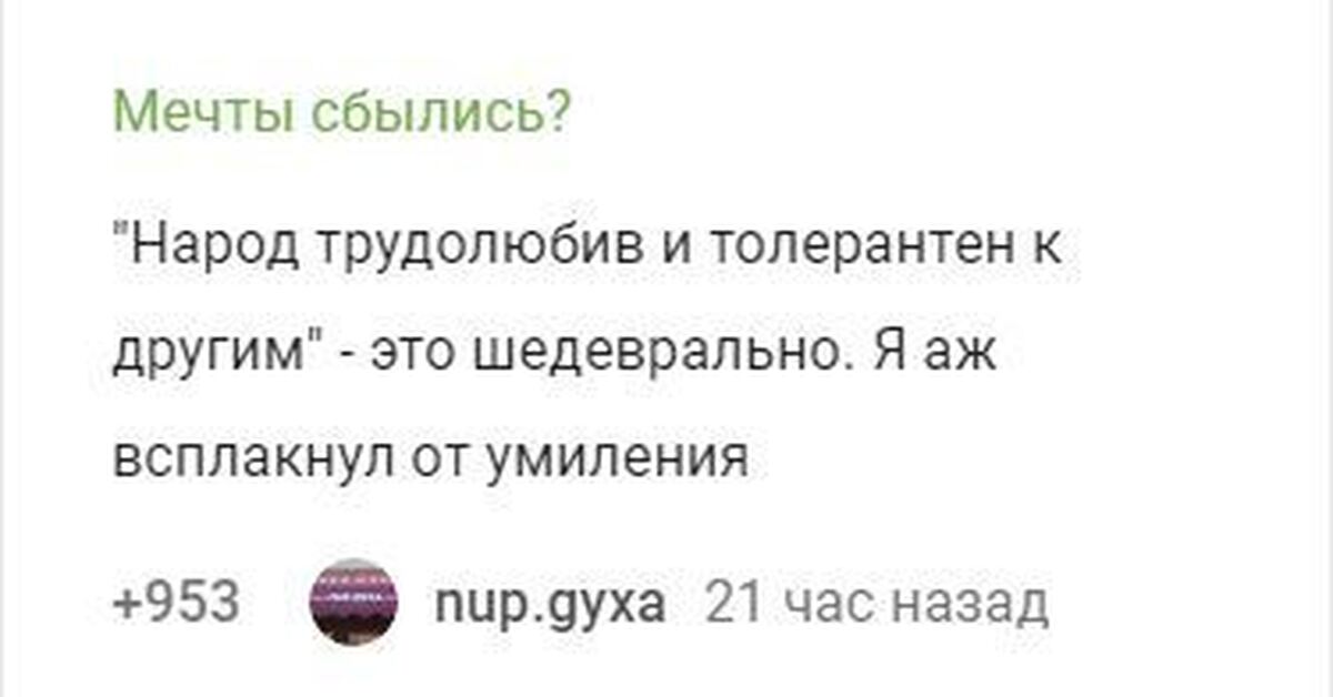 Политик пикабу