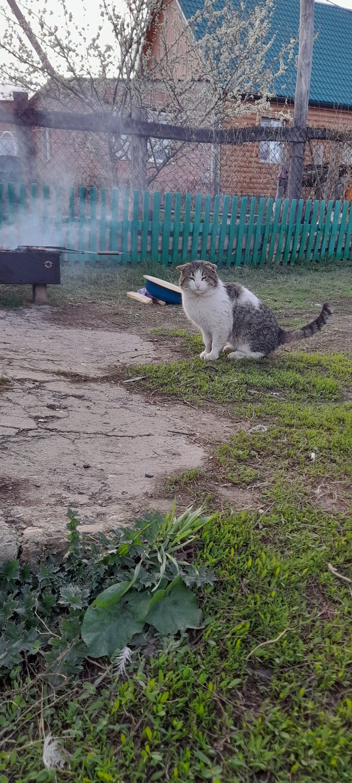 ��� ����������� ����������� � ������������ ����� ��������