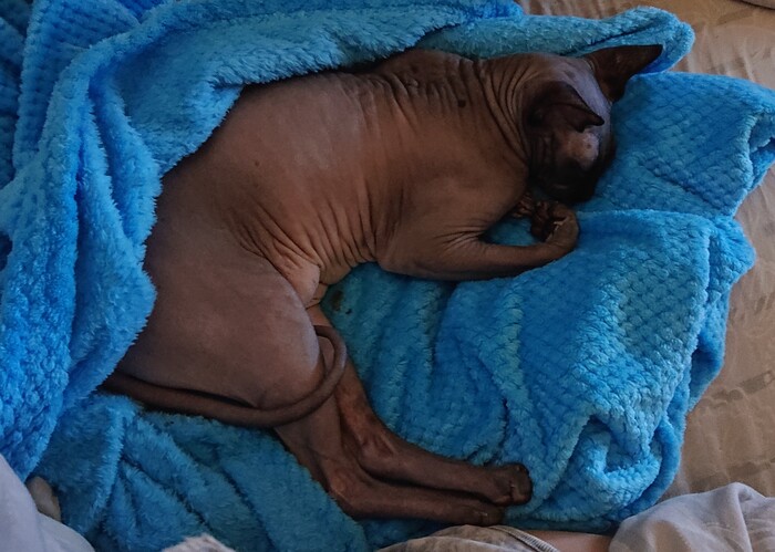 А всем, кто ложится спать, спокойного сна