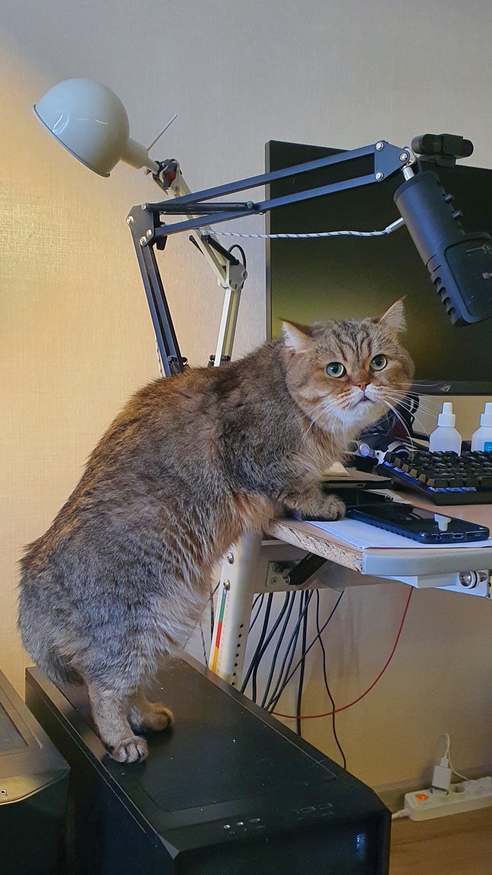 � ��������� ��-���� �����ٸ��