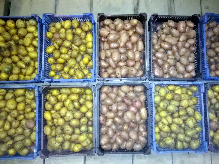      2 -   , , , , , ,   