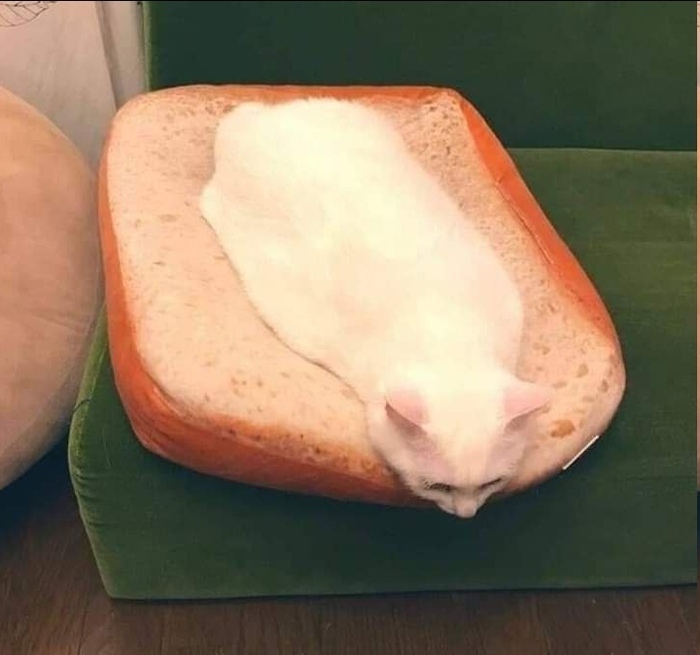 ����� �������