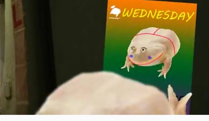 It Is Wednesday My Dudes It Is Wednesday My Dudes, , Dank Memes, 