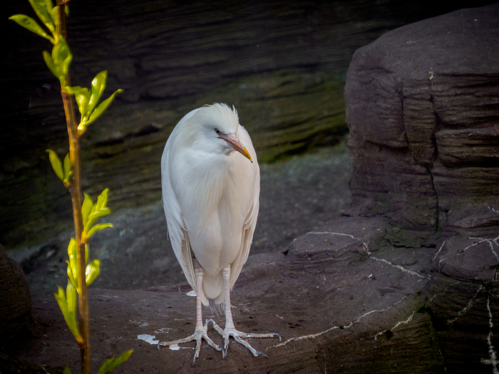 За что мне всё это?