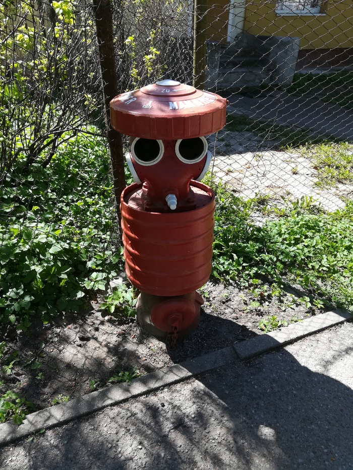 Идёшь мимо, а он на тебя смотрит