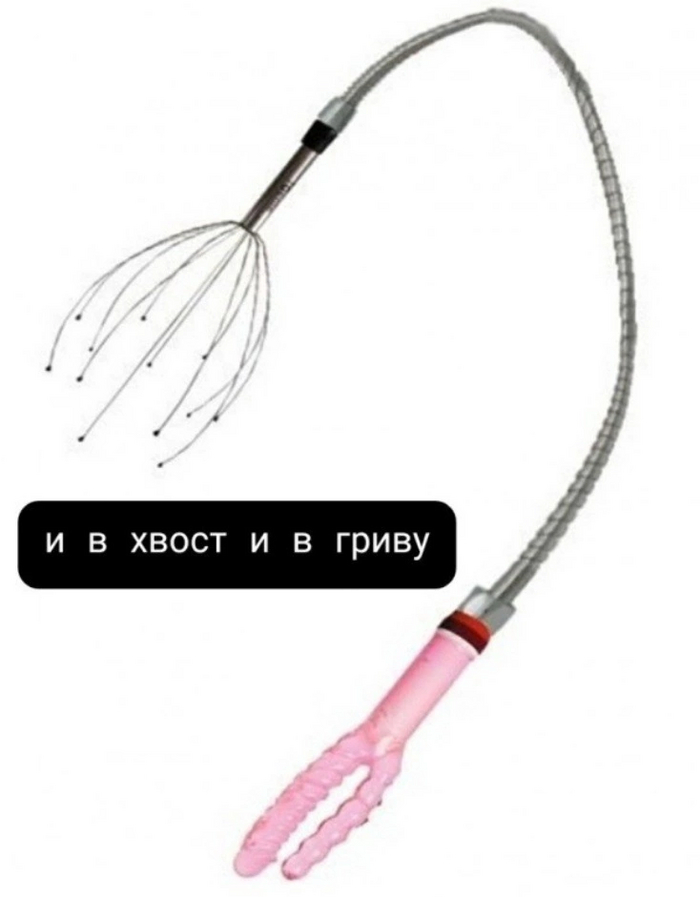 И в хвост и в гриву