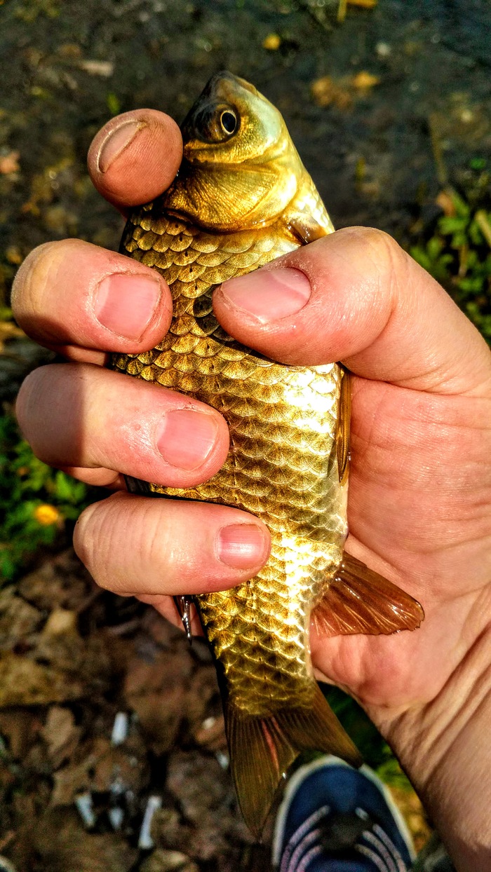     , , , 